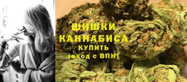 PSILOCYBIN Горно-Алтайск