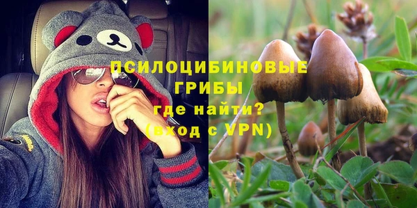 синтетический гашиш Горнозаводск