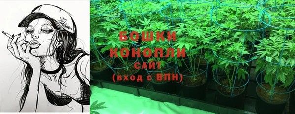 прущая мука Горняк