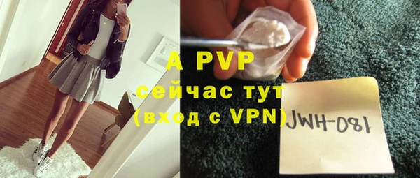 амф Вяземский