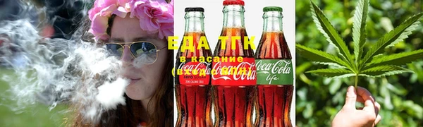 стаф Вязьма