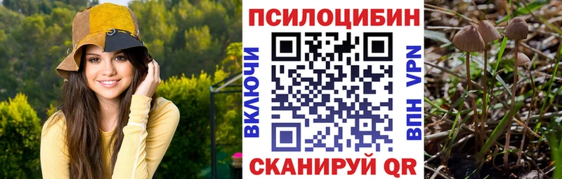 Псилоцибиновые грибы Magic Shrooms  мега онион  Железноводск 