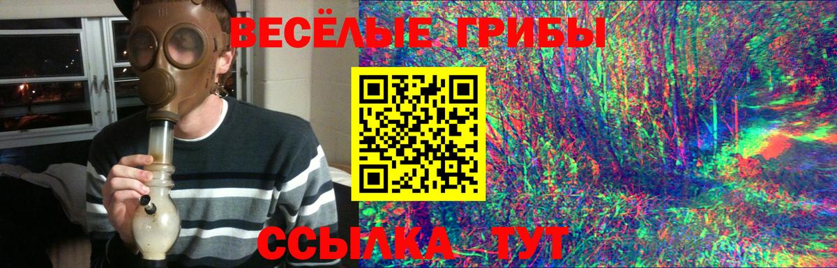 Галлюциногенные грибы Magic Shrooms Железноводск