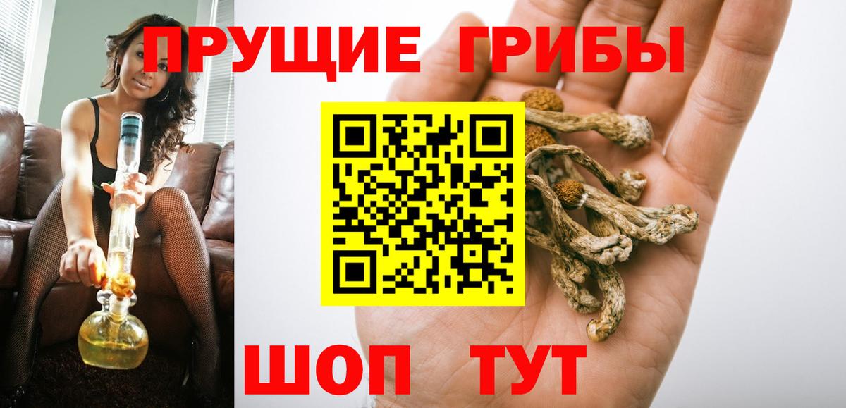 Псилоцибиновые грибы мухоморы  Псилоцибиновые грибы прущие грибы  магазин  наркотиков  Вход с VPN  Железноводск 