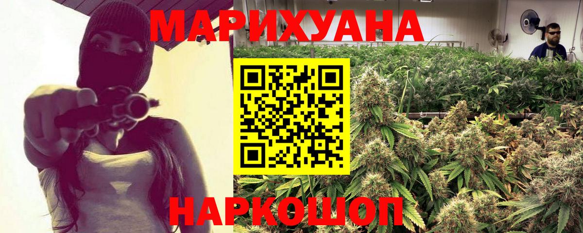 Бошки марихуана конопля Железноводск